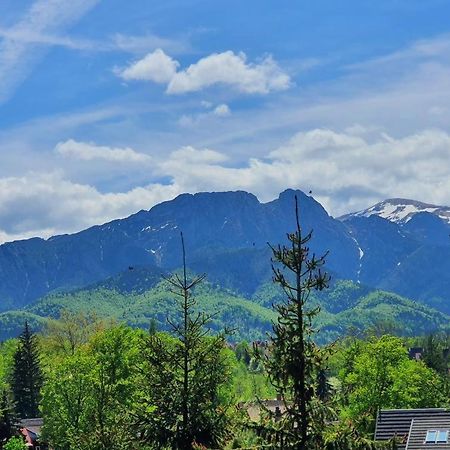Domki Mroz Zakopane Exterior foto