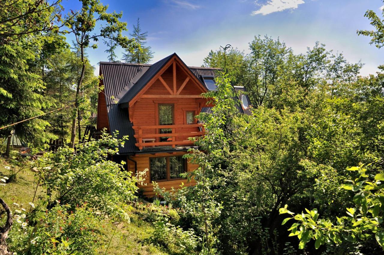 Domki Mroz Zakopane Exterior foto