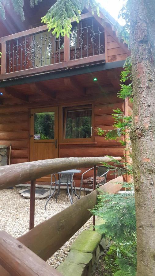 Domki Mroz Zakopane Exterior foto