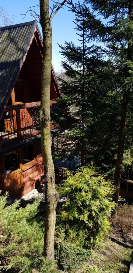 Domki Mroz Zakopane Exterior foto